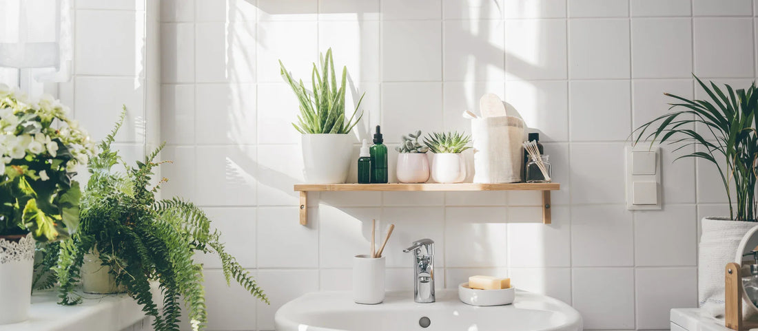Accessoires de salle de bain de luxe incluant une pomme de douche filtrante et des équipements modernes