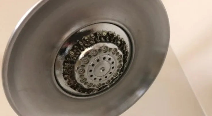 Bactéries et moisissures à l'intérieur d'un pommeau de douche nécessitant un nettoyage en profondeur